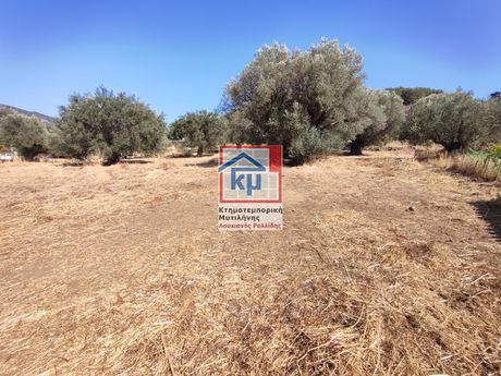 Οικόπεδο 2.781 τ.μ. προς πώληση