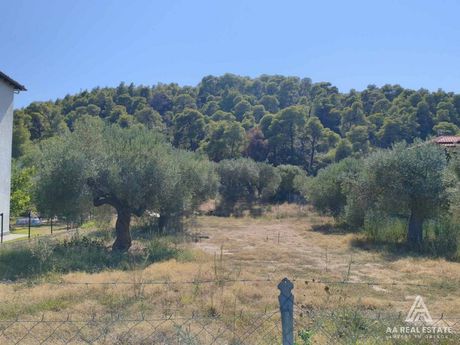 Αγροτεμάχια 305 τ.μ. πρός πώληση