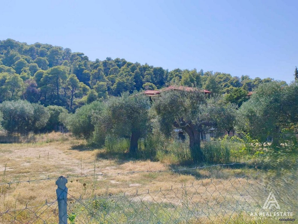 Αγροτεμάχια 305 τ.μ. πρός πώληση, Χαλκιδική, Σιθωνία