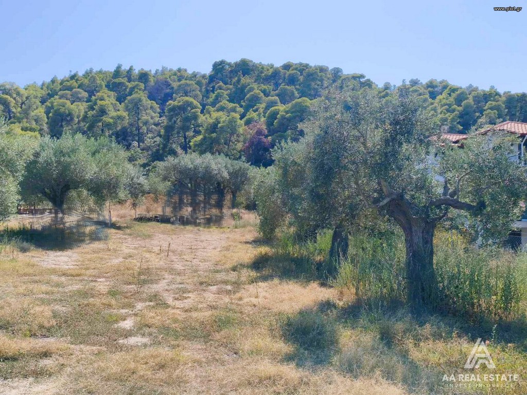 Αγροτεμάχια 305 τ.μ. πρός πώληση, Χαλκιδική, Σιθωνία