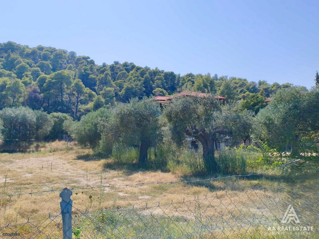Αγροτεμάχια 305 τ.μ. πρός πώληση, Χαλκιδική, Σιθωνία