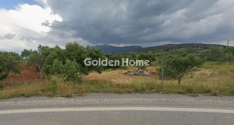 Αγροτεμάχια 1.800 τ.μ. προς πώληση