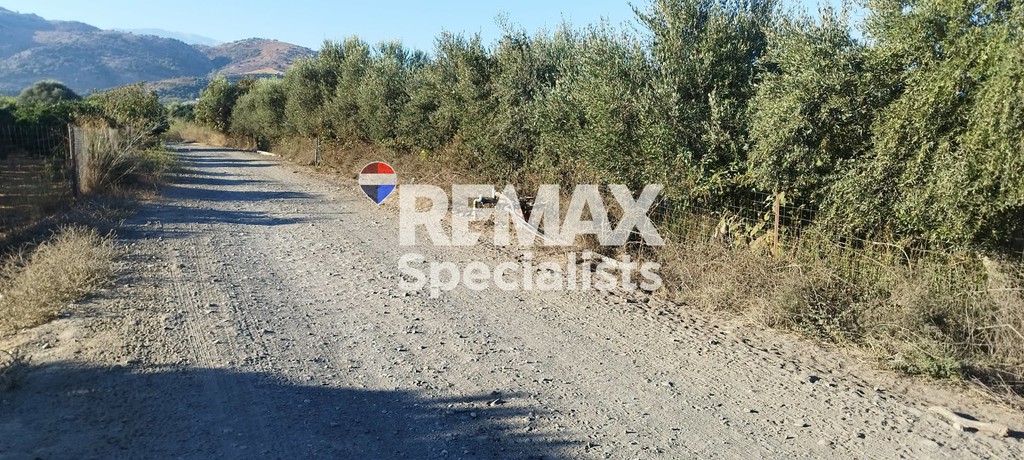 Αγροτεμάχια 3.150 τ.μ. προς πώληση, Βαρύπετρο