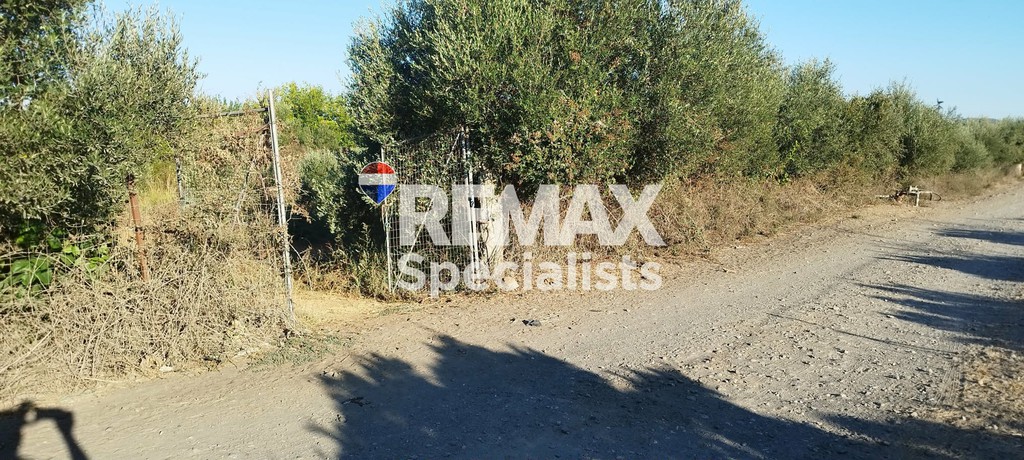 Αγροτεμάχια 3.150 τ.μ. προς πώληση, Βαρύπετρο