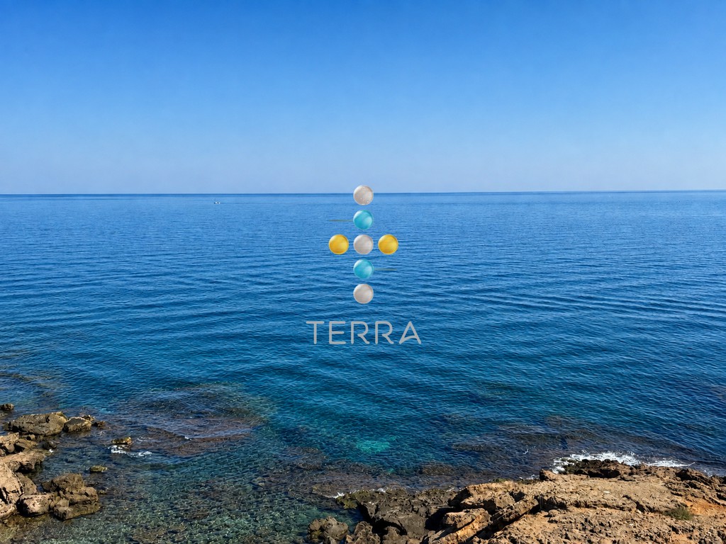 Αγροτεμάχια 8.308 τ.μ. προς πώληση, Βιολί Χαράκι