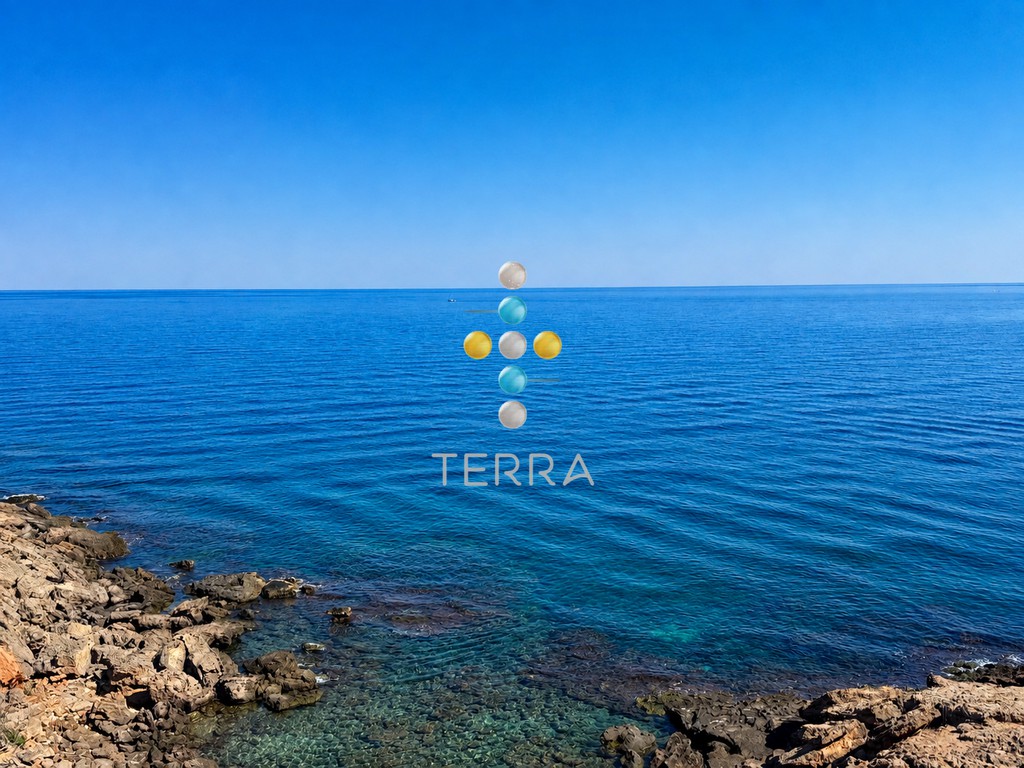 Αγροτεμάχια 8.308 τ.μ. προς πώληση, Βιολί Χαράκι