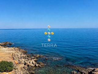 Αγροτεμάχια 8.308 τ.μ. για πώληση