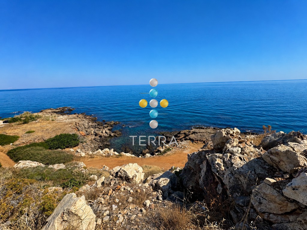 Αγροτεμάχια 8.308 τ.μ. προς πώληση, Βιολί Χαράκι