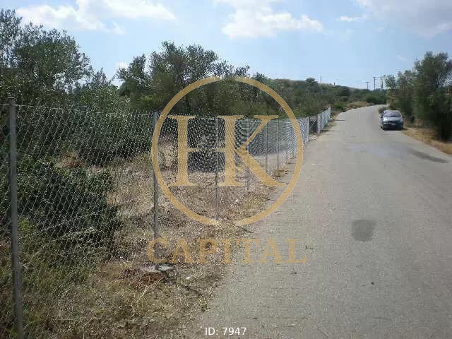 Αγροτεμάχια 8.500 τ.μ. πρός πώληση, Αθήνα - Ανατολικά Προάστια, Παιανία