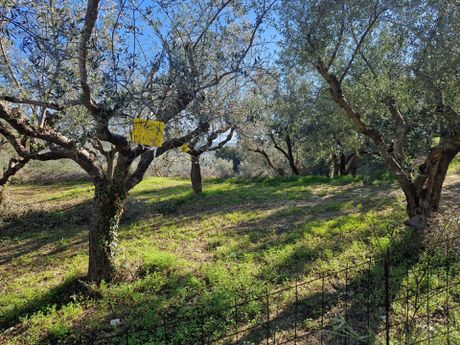 Parcel 1.500 sqm for sale