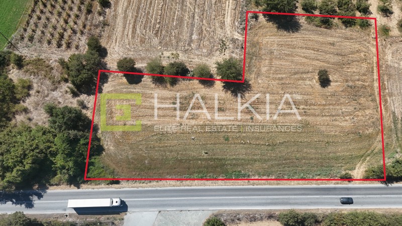 Αγροτεμάχια 6.236 τ.μ. προς πώληση, Ριζόμυλος Κάρλας