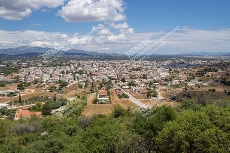 Αγροτεμάχια 52.270 τ.μ. προς πώληση