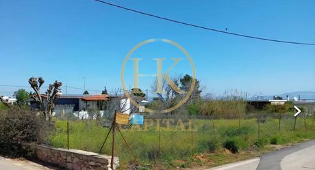 Οικόπεδο 1.600 τ.μ. προς πώληση