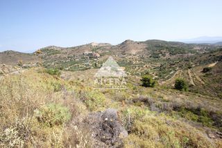 Οικόπεδο 15.800 τ.μ. προς πώληση