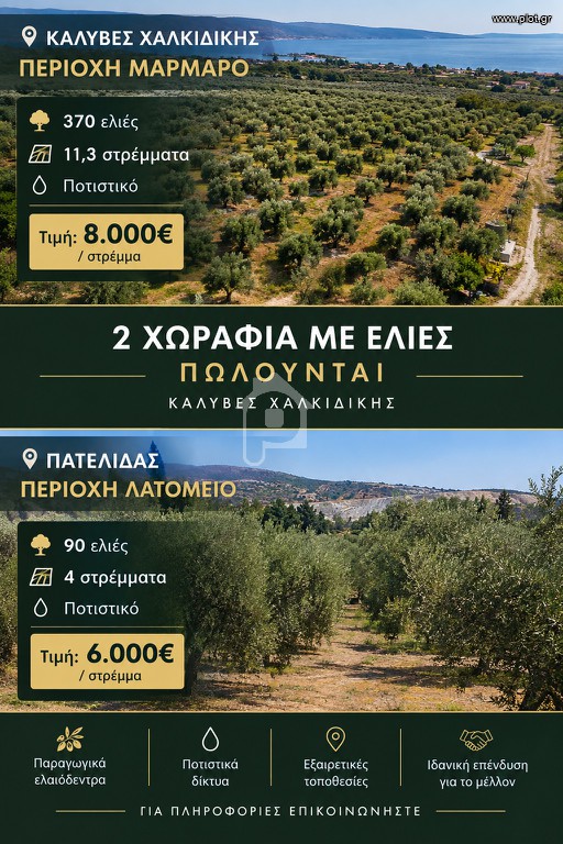 Αγροτεμάχια 15.300 τ.μ. προς πώληση, Χαλκιδική, Πολύγυρος