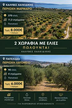 Αγροτεμάχια 15.300 τ.μ. πρός πώληση