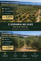 Αγροτεμάχια 15.300 τ.μ. για πώληση