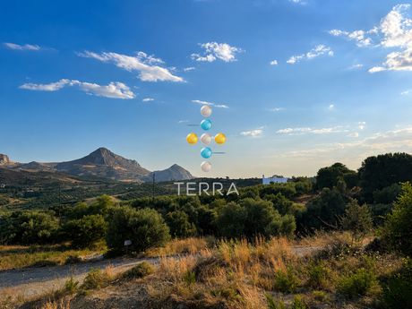 Οικόπεδο 4.315 τ.μ. πρός πώληση