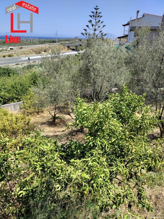 Οικόπεδο 452 τ.μ. πρός πώληση, Κορινθία, Ξυλόκαστρο