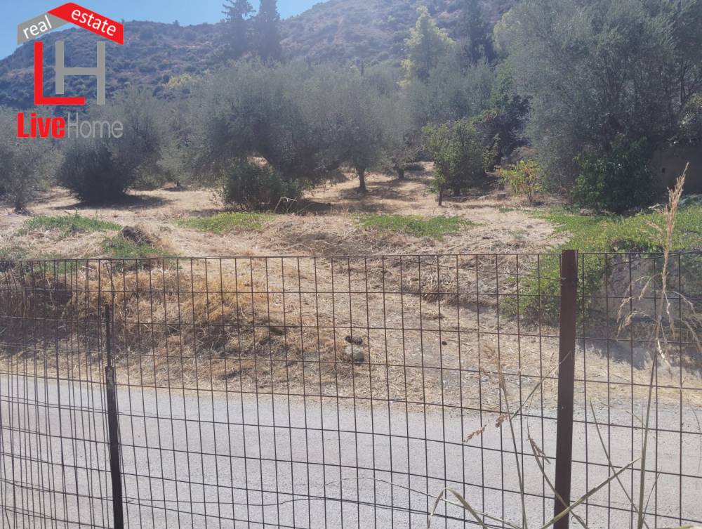 Οικόπεδο 452 τ.μ. πρός πώληση, Κορινθία, Ξυλόκαστρο