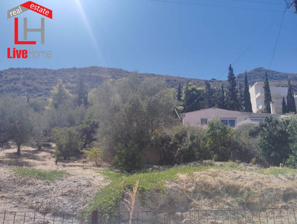 Οικόπεδο 452 τ.μ. πρός πώληση, Κορινθία, Ξυλόκαστρο