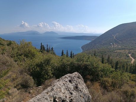 Αγροτεμάχια 2.430 τ.μ. πρός πώληση
