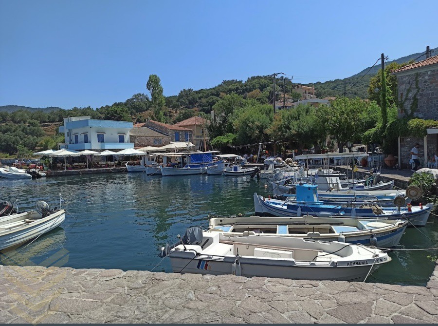 Αγροτεμάχια 4.184 τ.μ. πρός πώληση, Ν. Λέσβου, Λέσβος - Μήθυμνα