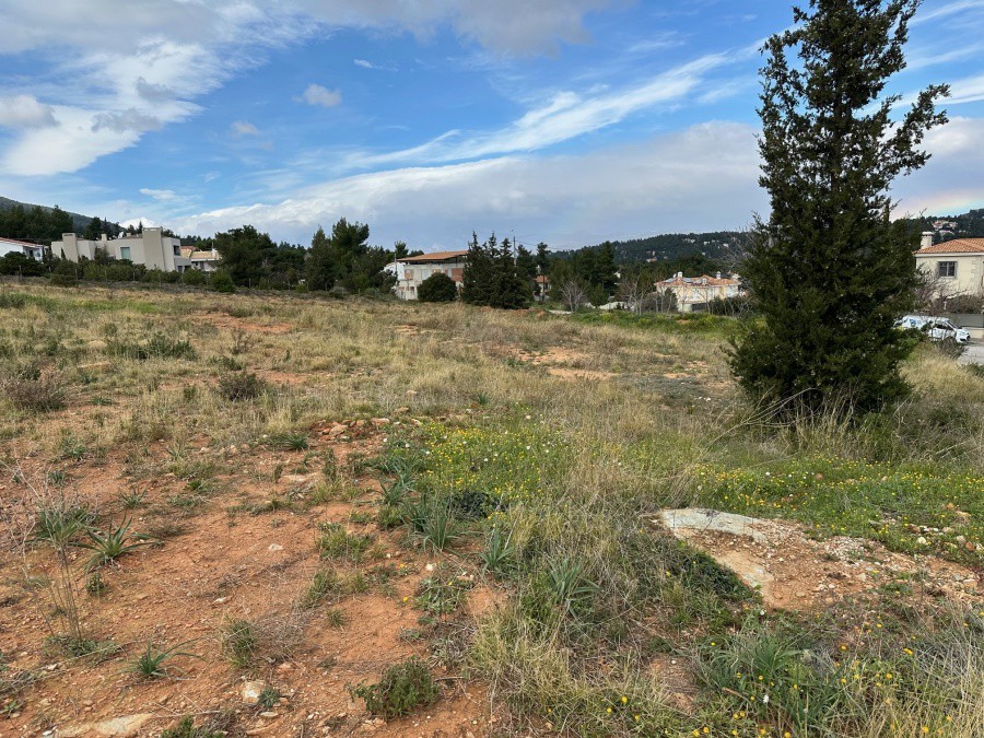 Οικόπεδο 1.587,99 τ.μ. πρός πώληση, Αθήνα - Βόρεια Προάστια, Διόνυσος