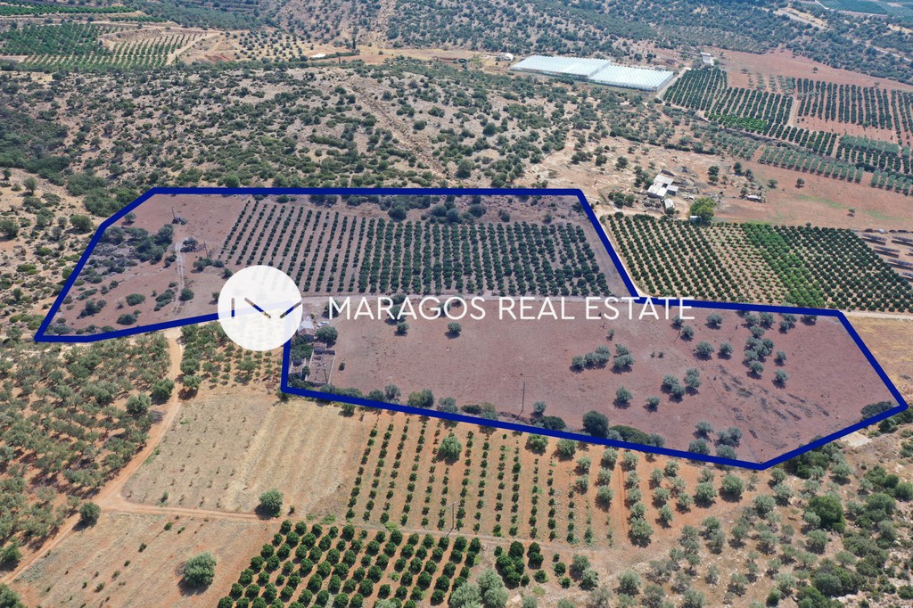 Αγροτεμάχια 35.000 τ.μ. πρός πώληση, Αργολίδα, Κουτσοπόδι