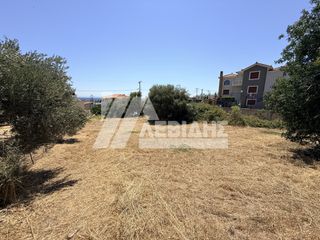 Οικόπεδο 1.978 τ.μ. για πώληση