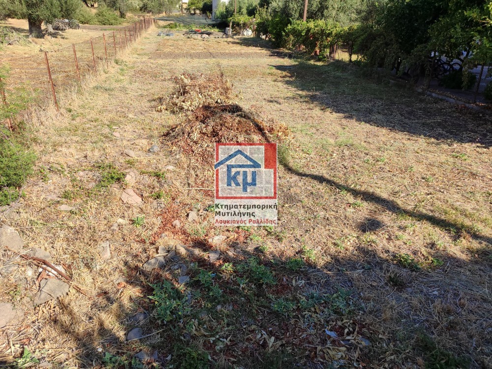 Οικόπεδο 1.123 τ.μ. πρός πώληση, Ν. Λέσβου, Λέσβος - Λουτρόπολη Θερμής
