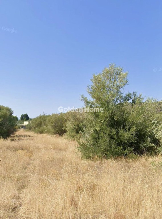 Αγροτεμάχια 7.142 τ.μ. προς πώληση, Γανίστα