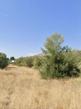Αγροτεμάχια 7.142 τ.μ. προς πώληση