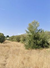 Αγροτεμάχια 7.142 τ.μ. για πώληση