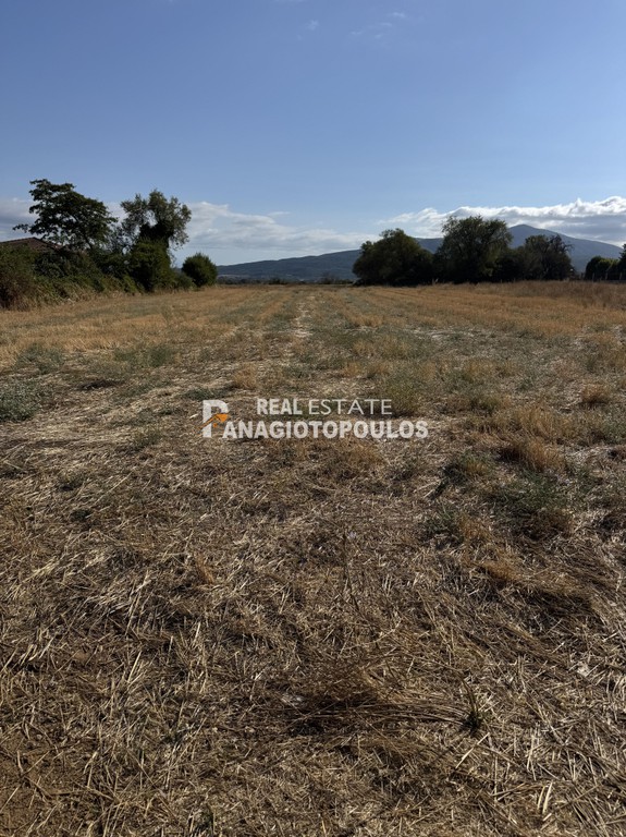Αγροτεμάχια 9.000 τ.μ. πρός πώληση, Θεσσαλονίκη - Υπόλ. Νομού, Μάδυτος