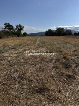 Αγροτεμάχια 9.000 τ.μ. πρός πώληση