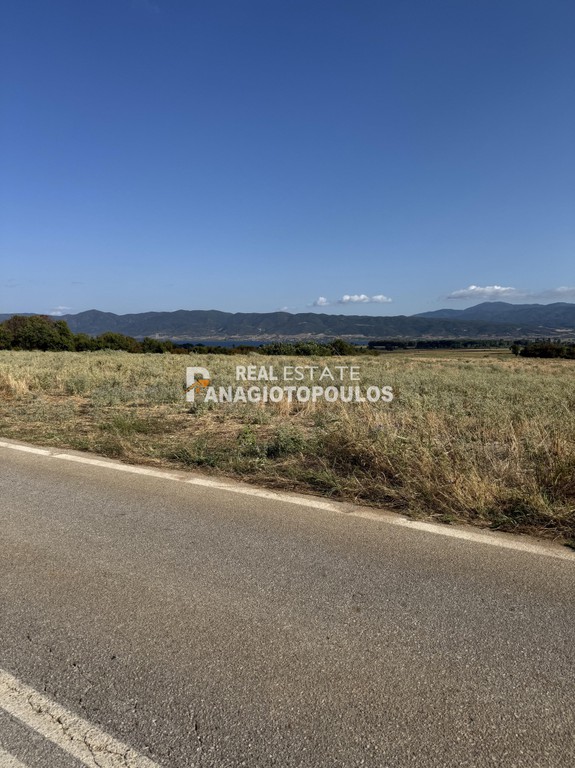 Αγροτεμάχια 3.000 τ.μ. πρός πώληση, Θεσσαλονίκη - Υπόλ. Νομού, Μάδυτος
