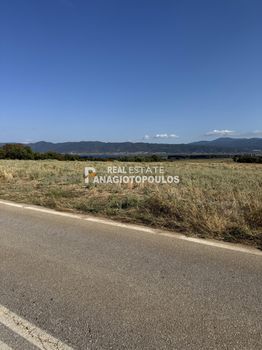Αγροτεμάχια 3.000 τ.μ. πρός πώληση