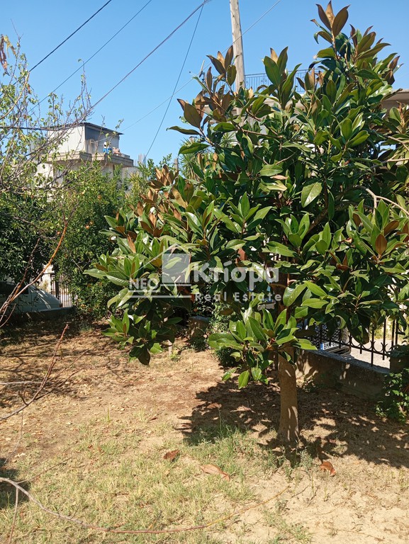 Μονοκατοικία 90 τ.μ. πρός πώληση, Ν. Ηλείας, Πύργος