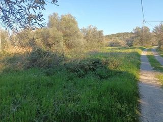Αγροτεμάχια 2.000 τ.μ. για πώληση, Εύβοια, Αιδηψός-thumb-3