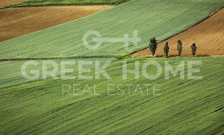 Land plot 406 sqm for sale