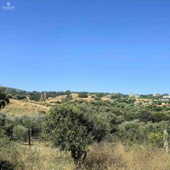 Οικόπεδο 2.600 τ.μ. για πώληση