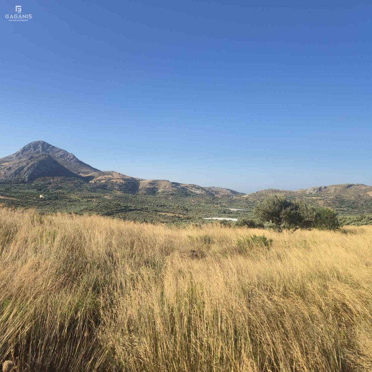 Αγροτεμάχια 15.400 τ.μ. πρός πώληση, Ν. Ρεθύμνου, Φοινίκας
