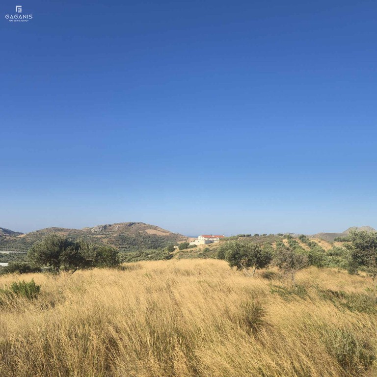 Αγροτεμάχια 15.400 τ.μ. πρός πώληση, Ν. Ρεθύμνου, Φοινίκας