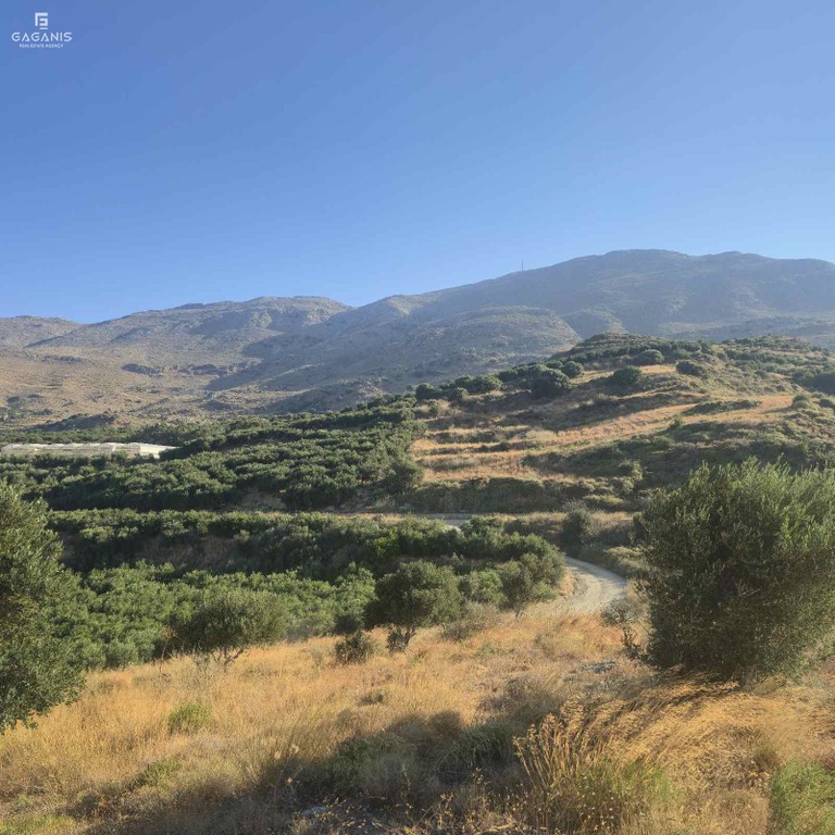 Αγροτεμάχια 15.400 τ.μ. πρός πώληση, Ν. Ρεθύμνου, Φοινίκας