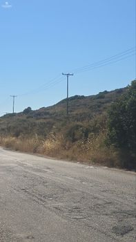 Οικόπεδο 9.000 τ.μ. προς ενοικίαση
