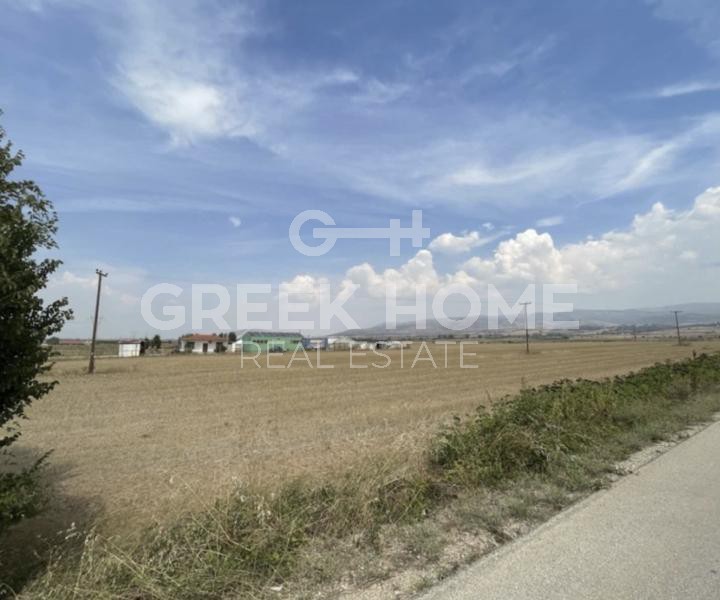 Αγροτεμάχια 28.000 τ.μ. πρός πώληση, Ν. Κοζάνης, Πτολεμαϊδα