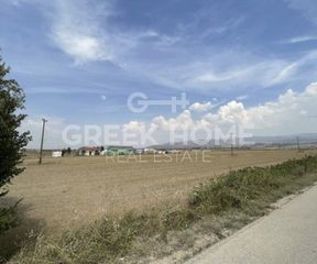 Αγροτεμάχια 28.000 τ.μ. για πώληση