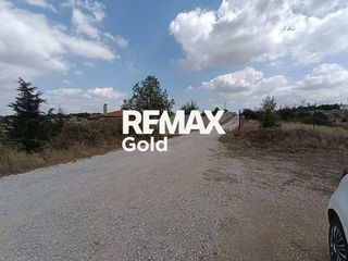 Αγροτεμάχια 7.930 τ.μ. για πώληση