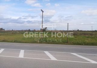 Αγροτεμάχια 31.000 τ.μ. για πώληση